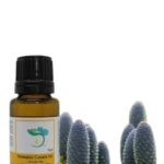 Spruce Black Organic Essential Oil