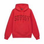 Iconic and Design of The Stussy Hoodie