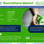 Biomethane Market