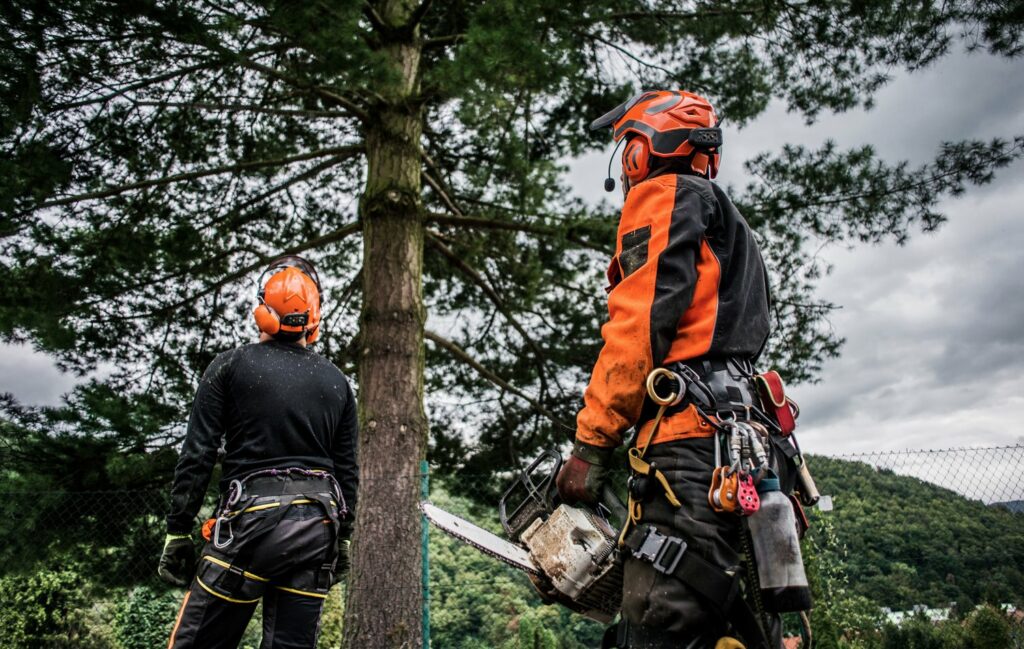 Tree Service Union