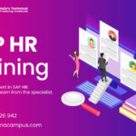 What Is SAP HR? Understanding Everything About SAP HR