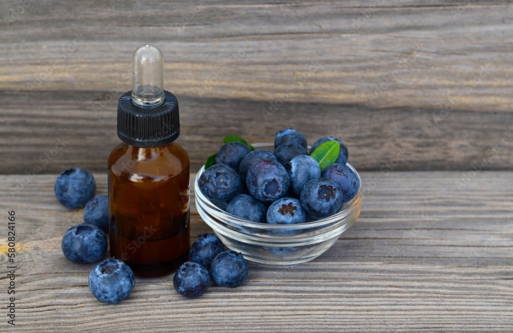 Blueberry Seed Oil Processing Plant Report 2024: Cost Analysis and Revenue