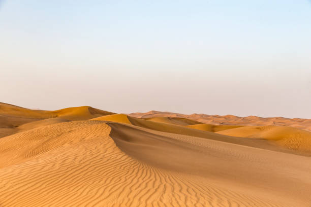 Qatar desert