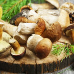 Safely Harnessing the Power of Functional Mushroom Nootropic Supplements