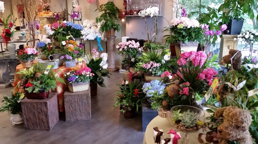 Flower Shops