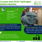 Europe & APAC Hydrogen Boilers Market