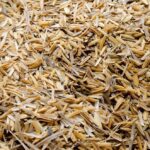Rice Husk Ash Manufacturing Plant Report 2024- Setup Details, Capital Investments and Expenses