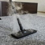 Dust Mites Treatment and Common Carpet Cleaning Mistakes You Should Avoid