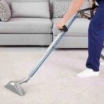 Why Professional Carpet Cleaning and Mattress Cleaning Matter for Your Home