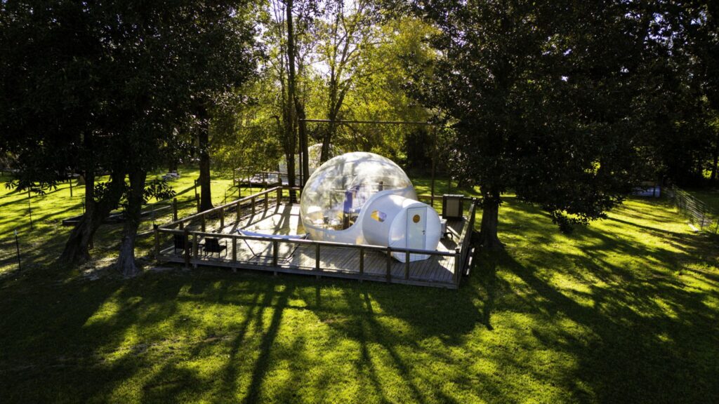 Sky Dome Hotels