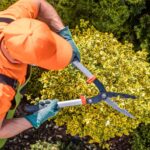 How Do Professional Lawn and Yard Clean-Up Services Prepare Your Landscape for New Growth?