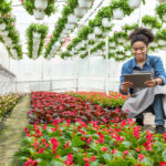start a flower business in dubai