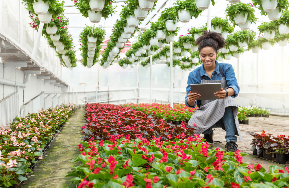 start a flower business in dubai