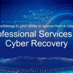 Cyber recovery services