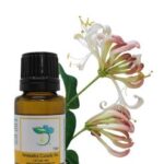 Honeysuckle Absolute Oil