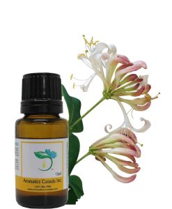 Honeysuckle Absolute Oil