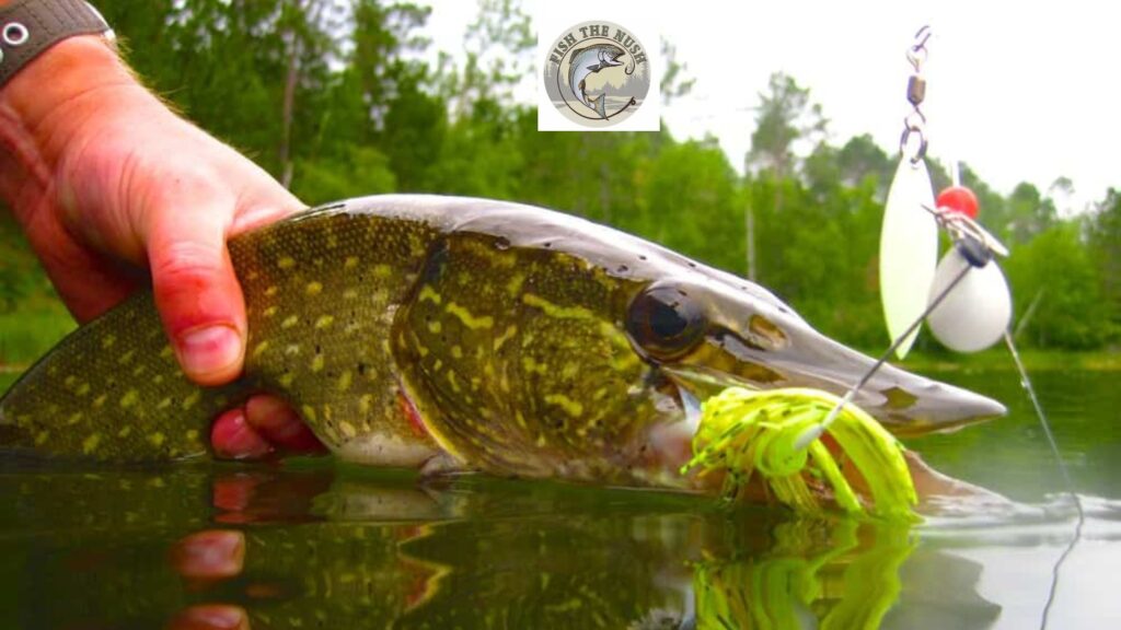 Is Pike Fishing in Alaska the Best Kept Secret in Bristol Bay?