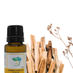Palo-Santo-Essential-Oil
