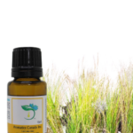 vetiver essential oil