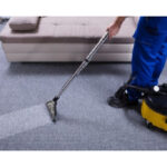 Professional Carpet Cleaning Newcastle: Refresh Your Home the Right Way