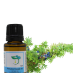 Juniper Berry Essential Oil