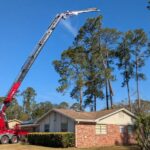 Jacksonville tree service