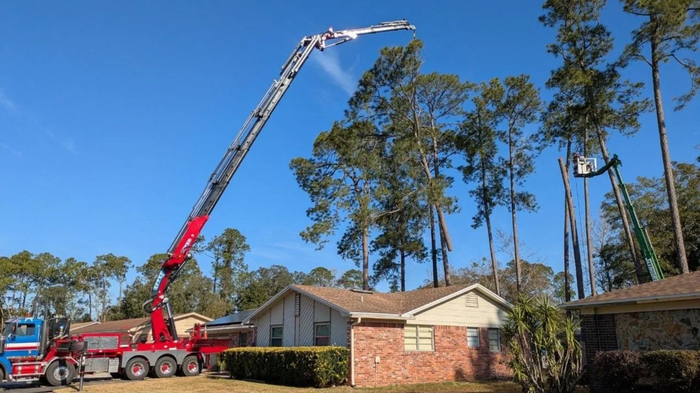 Jacksonville tree service