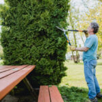 lawn company