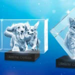 Engraved Pet Memorial: A Meaningful Way to Honor Your Pet’s Life