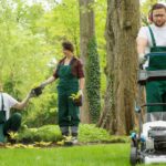 How Commercial Lawn Care and Maintenance in WA Is Evolving Beyond Routine Upkeep
