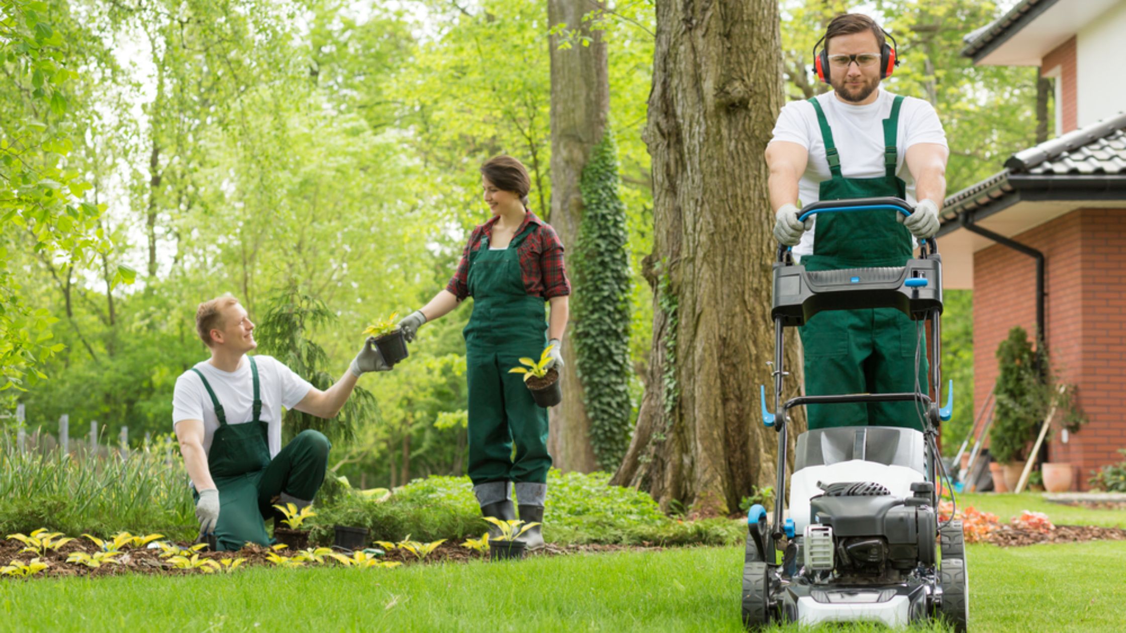 How Commercial Lawn Care and Maintenance in WA Is Evolving Beyond Routine Upkeep