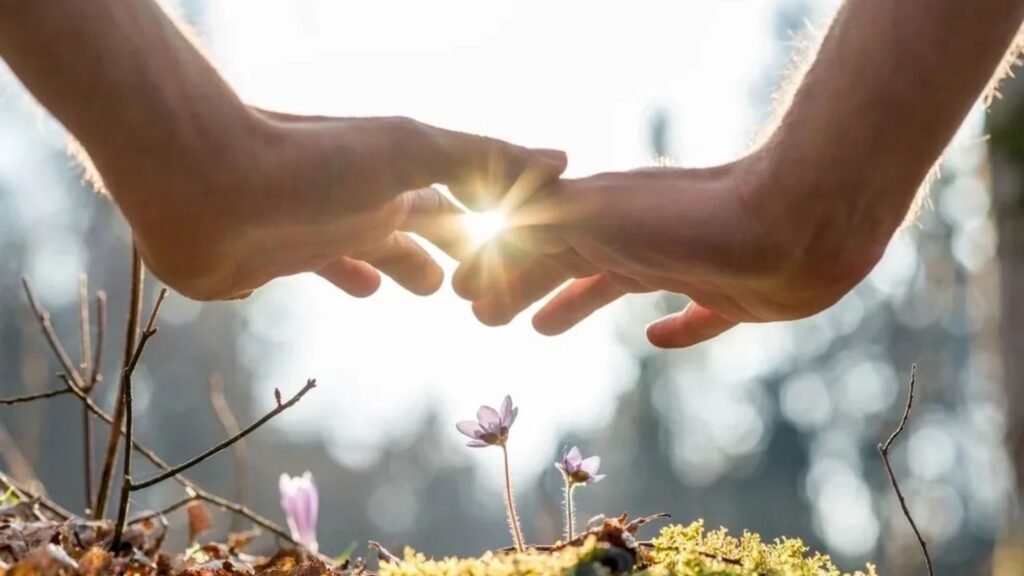 5 Ways a Nutritionist Holistic in Plainfield Can Boost Energy