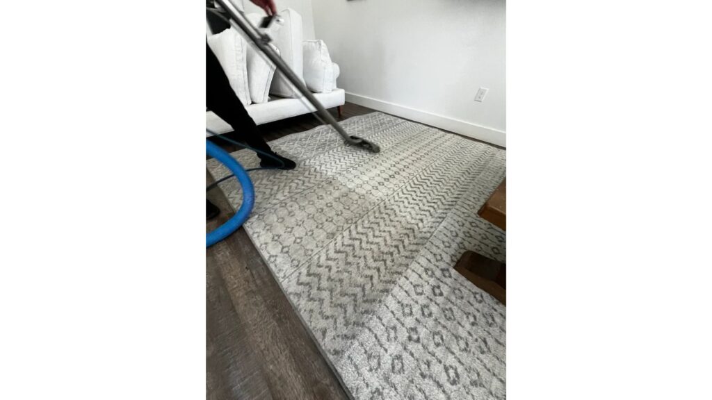 Could Steam Cleaning Area Rugs Be the Secret to a Fresher, Healthier Home?
