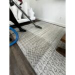 Could Steam Cleaning Area Rugs Be the Secret to a Fresher, Healthier Home?