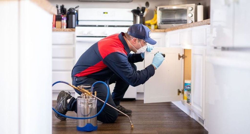 Pest Control Exterminator