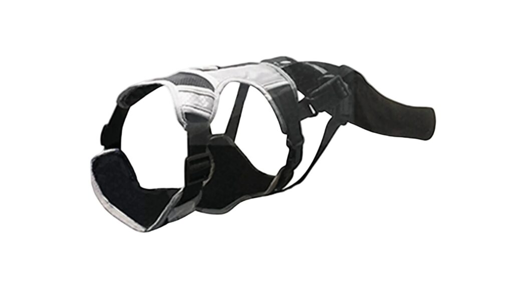 Dog Happy Tail Protector