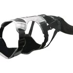 Dog Happy Tail Protector