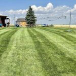 Lawn Service Bozeman