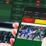 play online cricket games in india