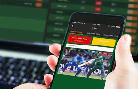 play online cricket games in india